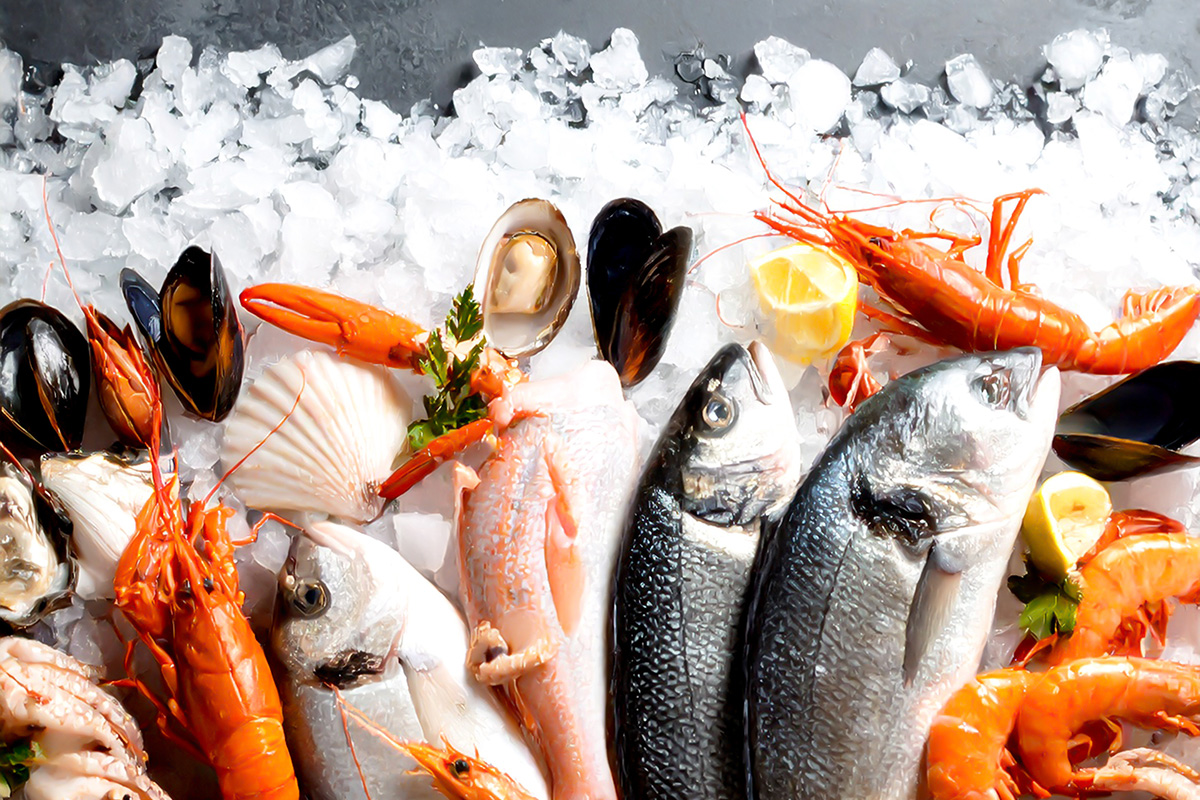 Eine Auswahl an frischen Meeresfrüchten und Fischen auf Crushed Ice, darunter ganze Doraden, Riesencrevetten, Hummer, Muscheln, Austern und Zitronenscheiben.